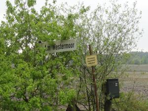 Sippenfahrt Abschlu&szlig;fahrt Jagender Jaguar Kanutour