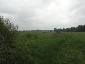 Sippenfahrt Abschlu&szlig;fahrt Jagender Jaguar Kanutour
