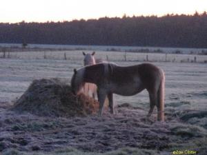 Gau Knappenkurs