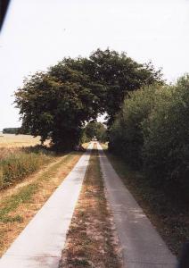 Sippenfahrt Kreisende Bussarde