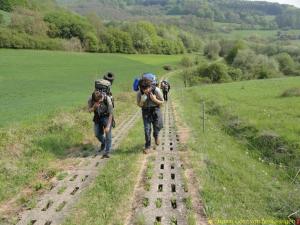 Jagender Jaguar Wandern im Weserbergland